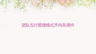 团队五行管理模式齐向东课件