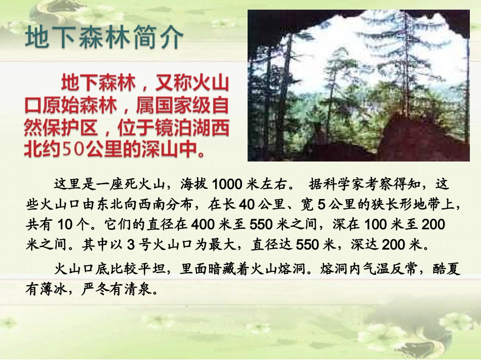 地下森林断想 (3)_第2页
