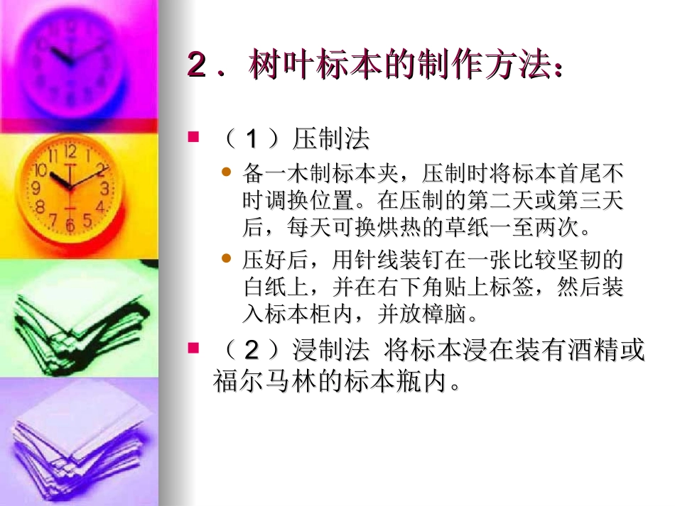 叶脉书签的制作及花卉培养_第3页