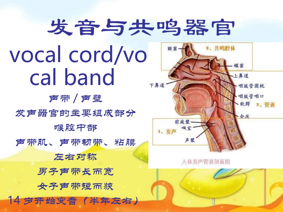 发音基本知识_第2页