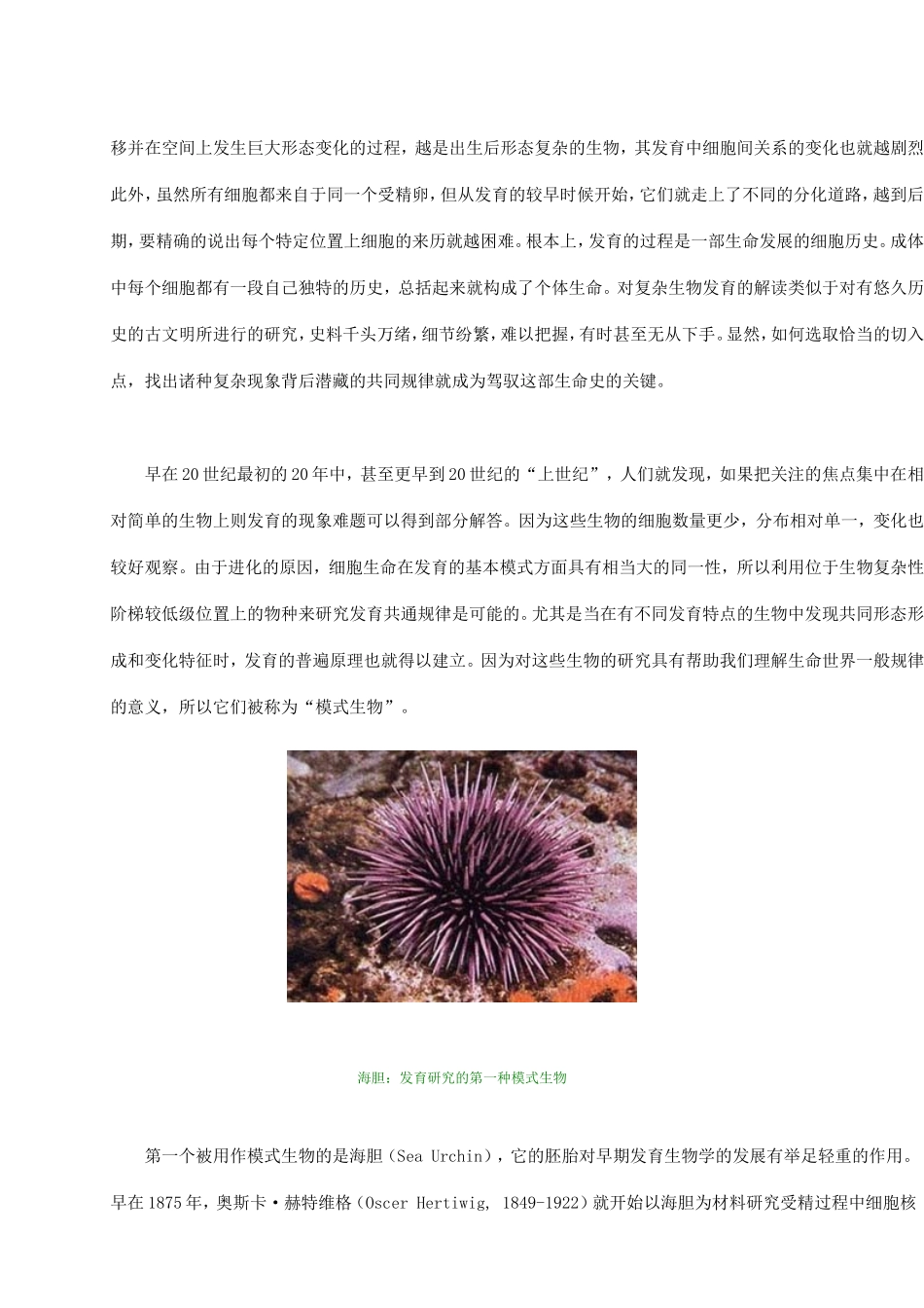 发育·线虫·凋亡(2)_第2页