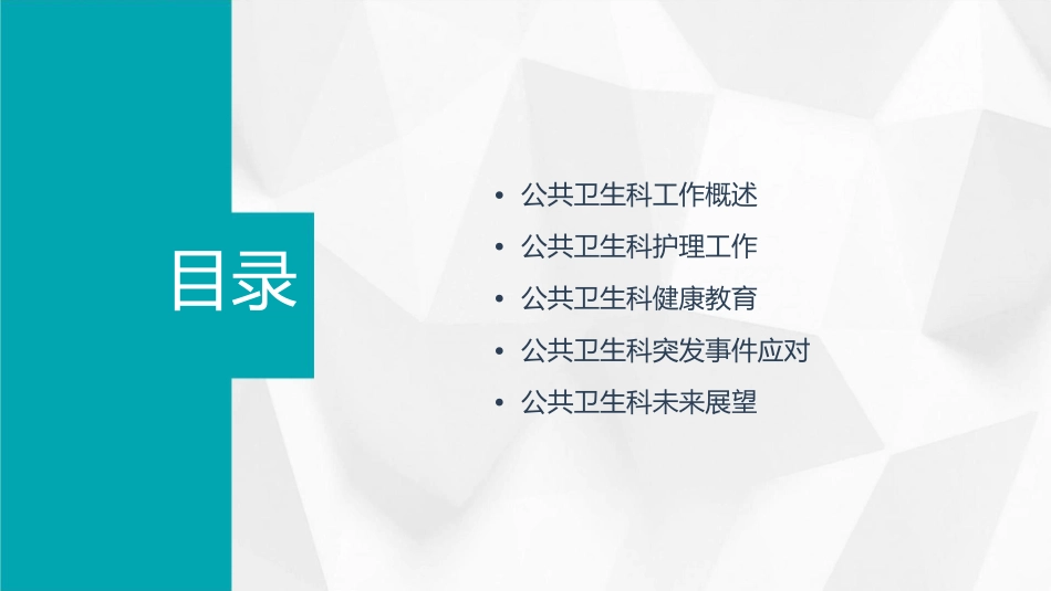 公共卫生科工作总结护理课件_第2页