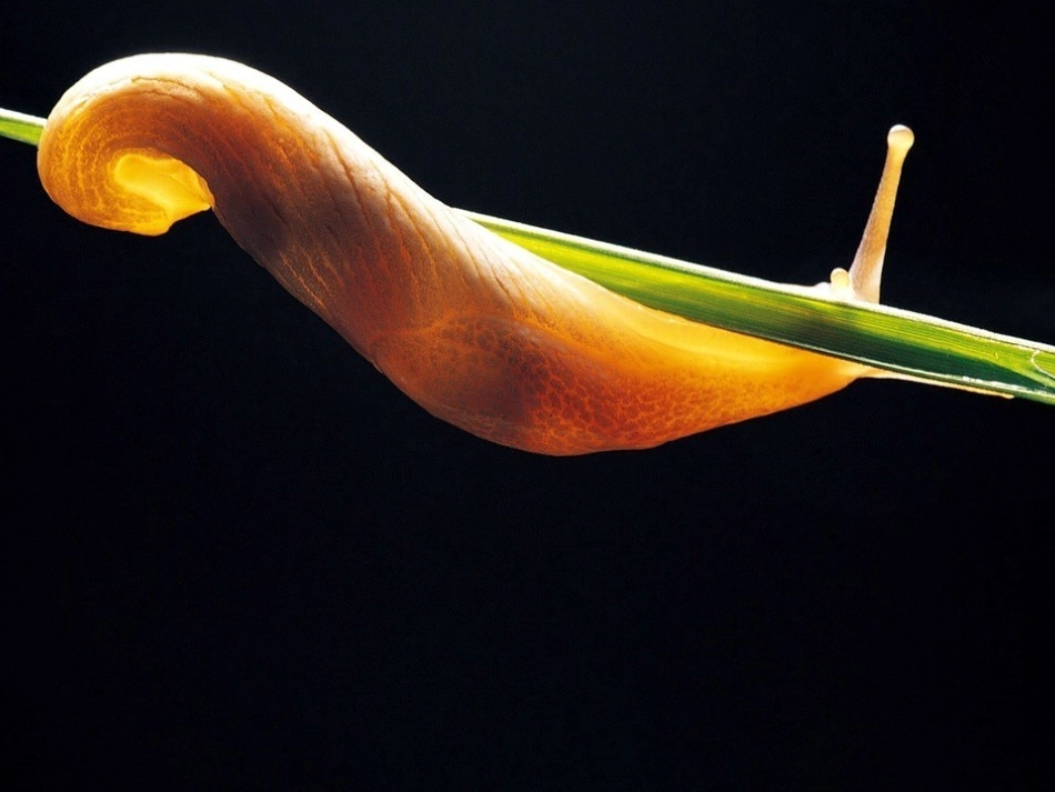 描写自己熟悉的小_第2页