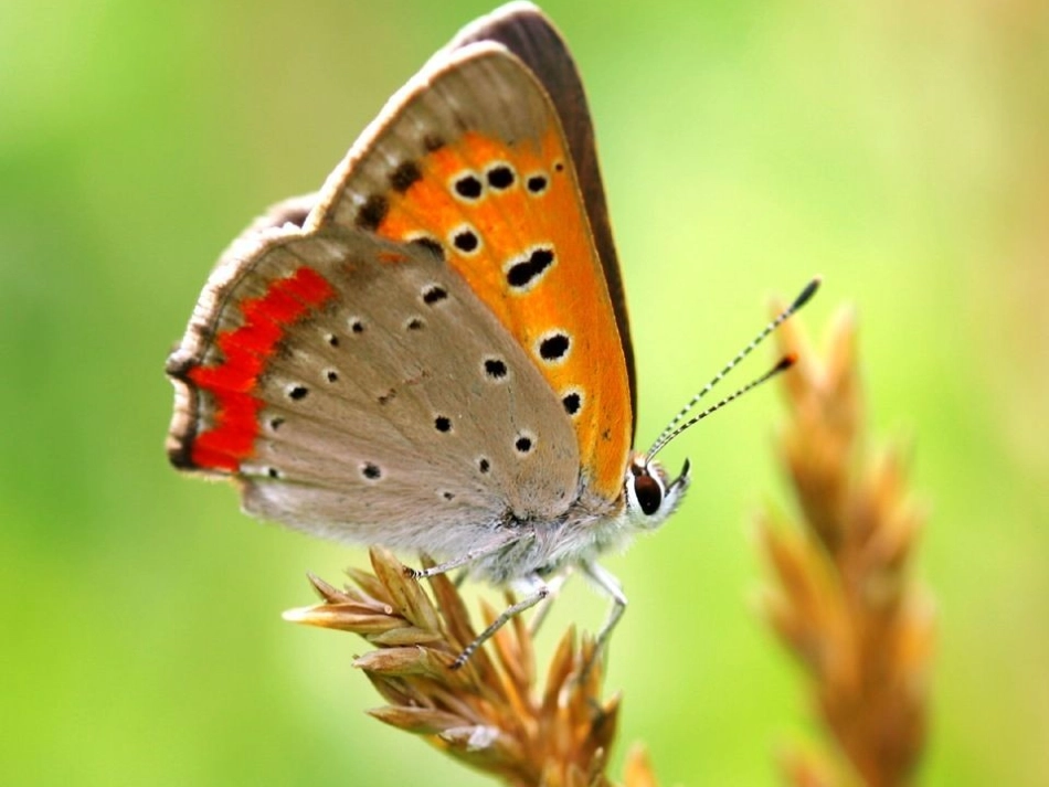 描写自己熟悉的小_第3页