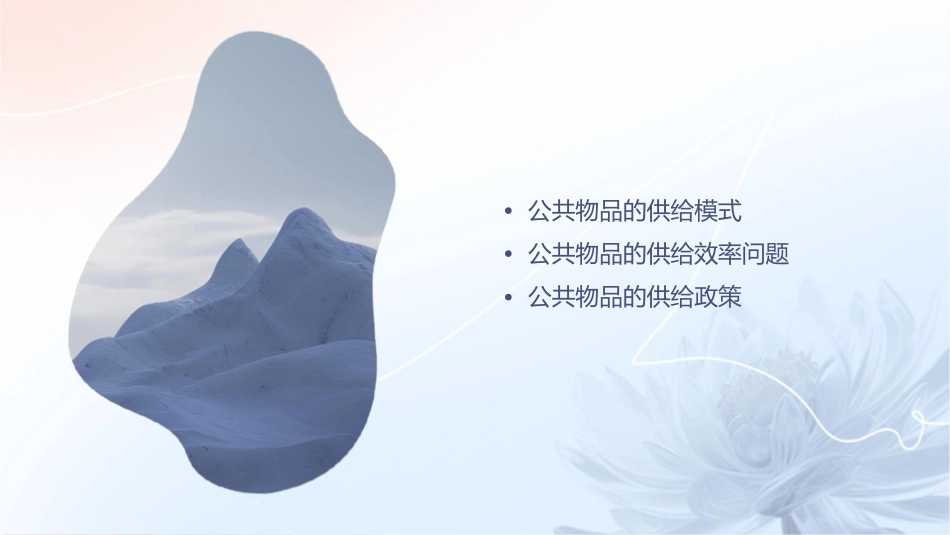 公共物品的供给课件_第2页