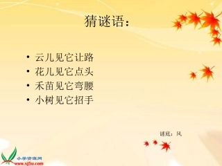风来了12a