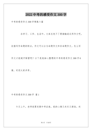 2024中考的感受作文300字_2