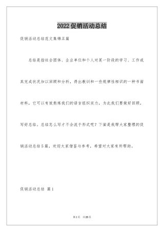 2024促销活动总结_125