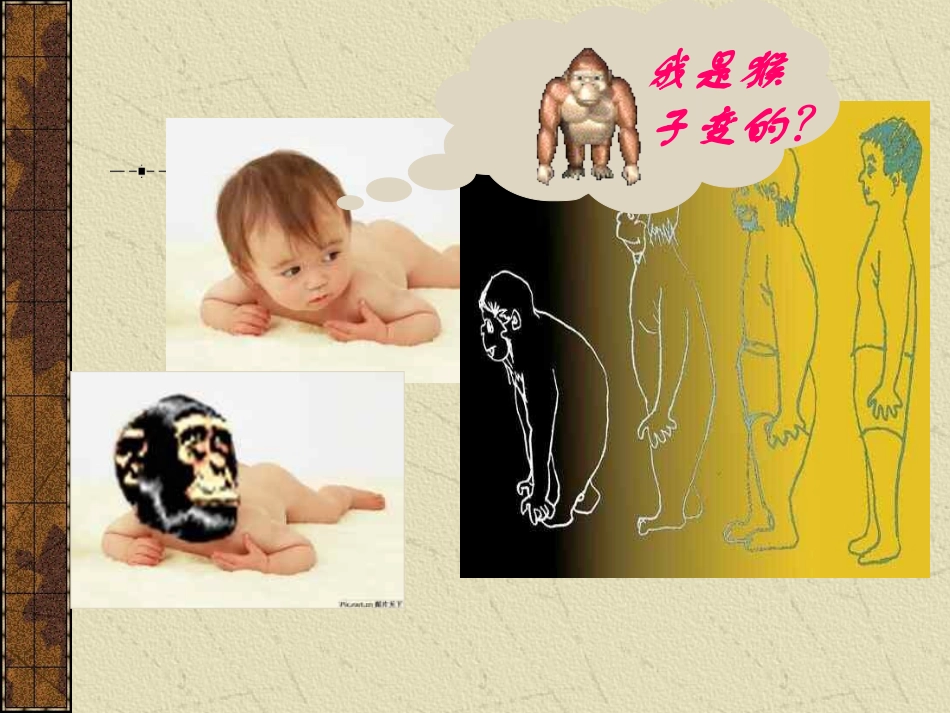 课人类的形成_第2页