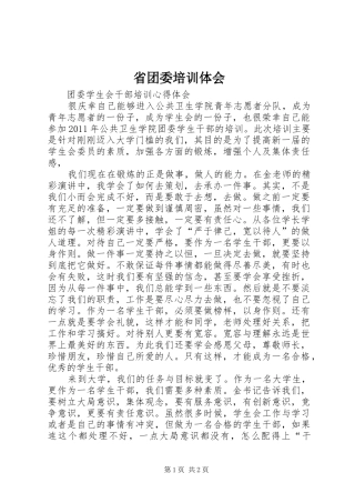 省团委培训体会 