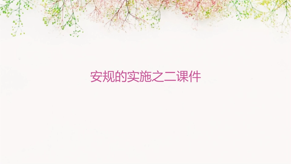 安规的实施之二课件_第1页