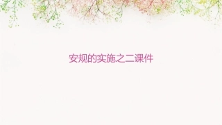 安规的实施之二课件