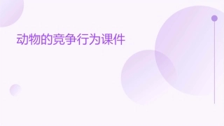 动物的竞争行为课件