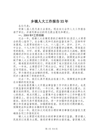 乡镇人大工作报告XX年