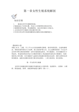 第一章  女性生殖系统解剖