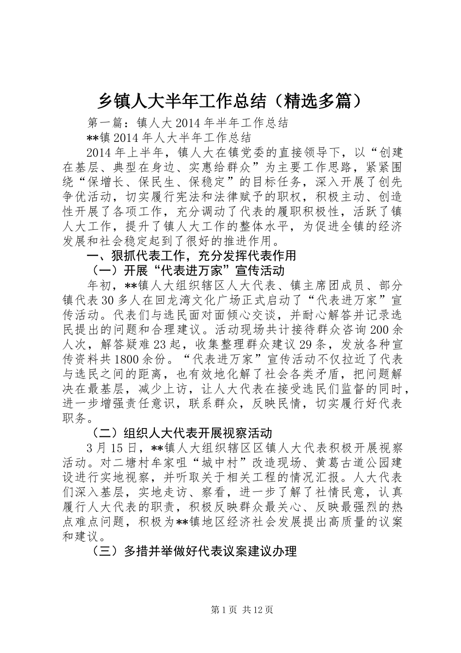 乡镇人大半年工作总结(精选多篇)_第1页