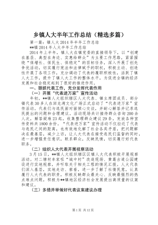 乡镇人大半年工作总结(精选多篇)