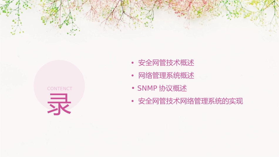 安全网管技术网络管理系统及SNMP协议课件_第2页