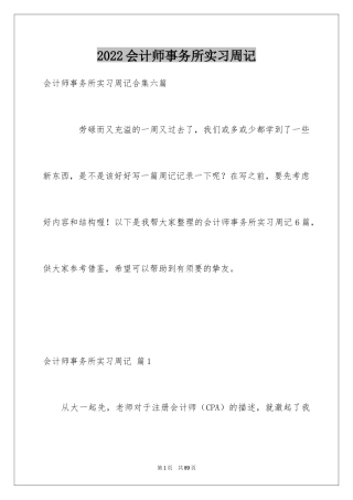 2024会计师事务所实习周记_4