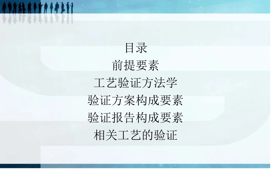 原料药工艺验证._第2页