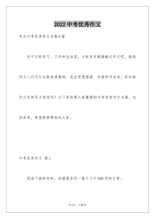 2024中考优秀作文_9