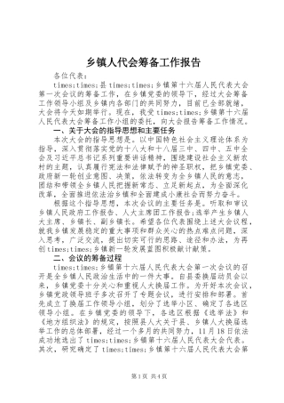 乡镇人代会筹备工作报告