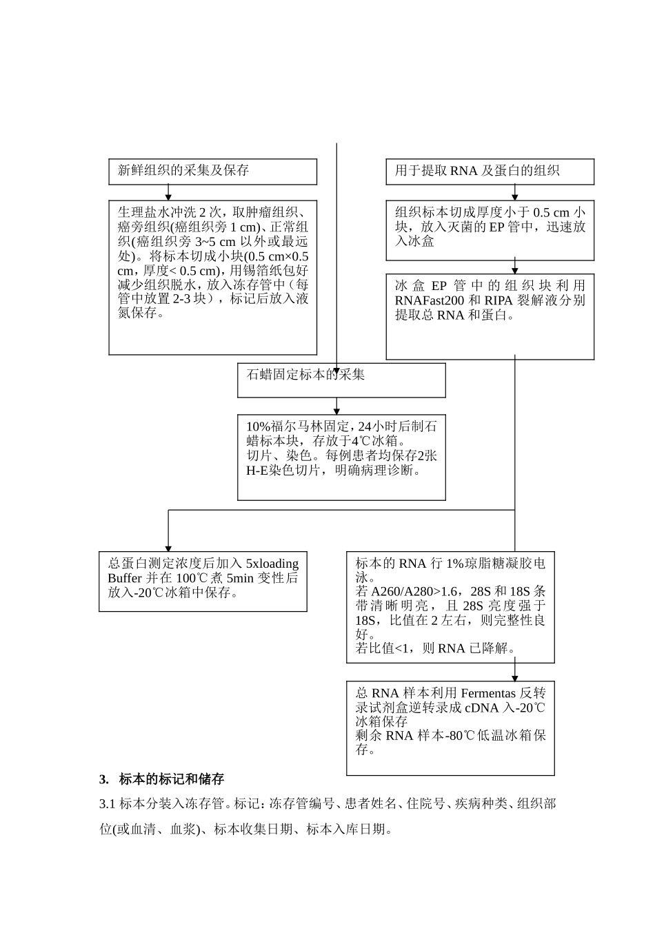 原发性肝癌组织库及数据库的建立_第3页