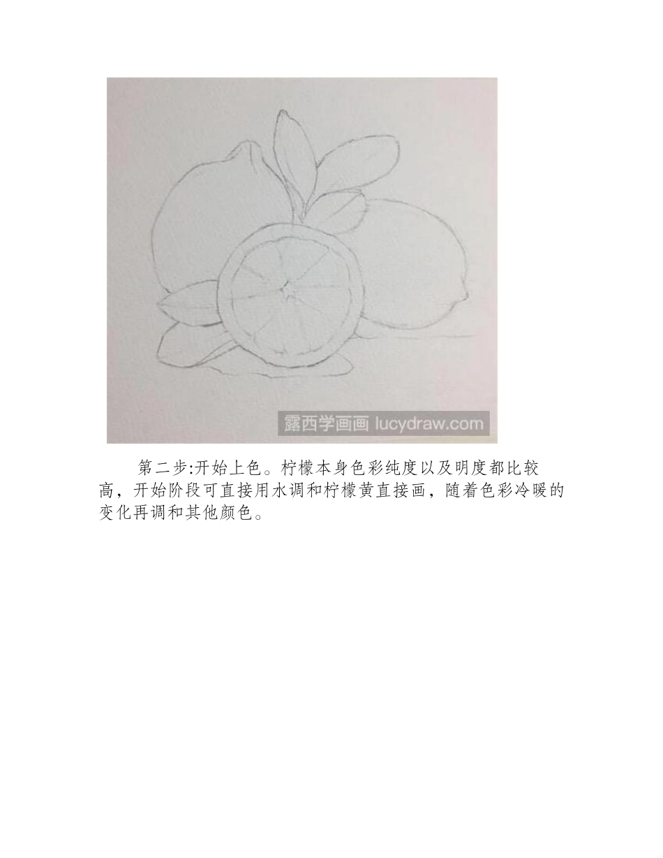 柠檬水彩画教程水彩画教程_第2页