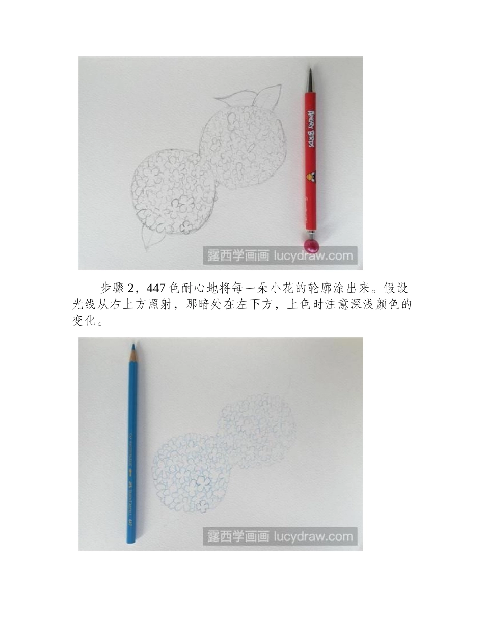 木绣球彩铅画教程彩铅画教程_第2页