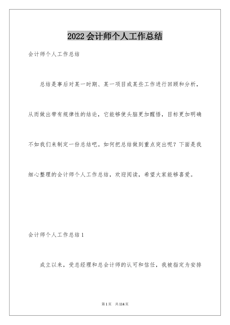 2024会计师个人工作总结_第1页