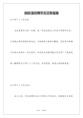 2024会计师个人工作总结