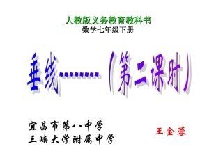 湖北宜昌8中王金蓉垂线（2）