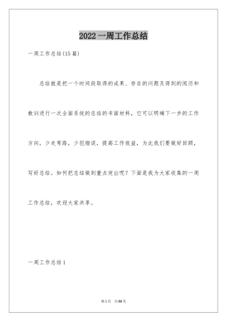 2024一周工作总结_17