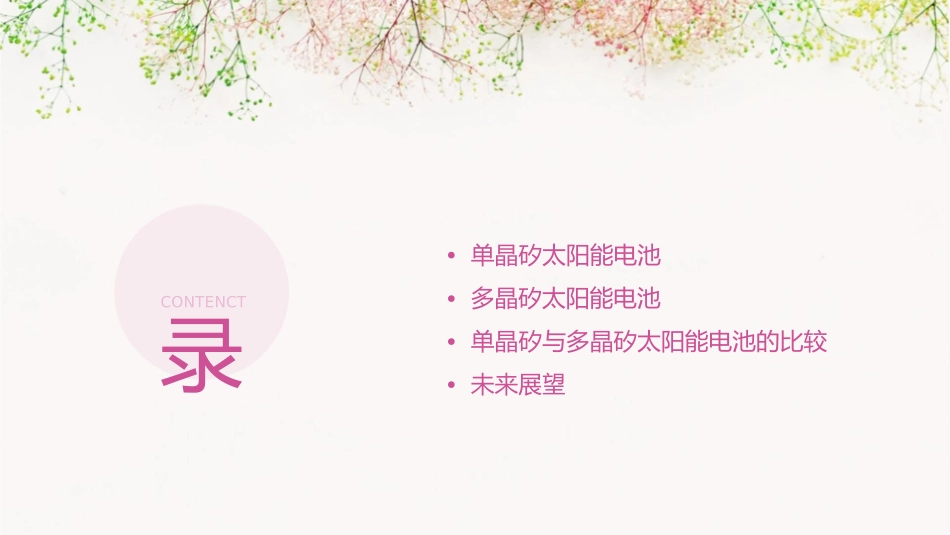 单晶矽及多晶矽太阳能电池课件_第2页