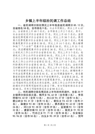 乡镇上半年综治民调工作总结