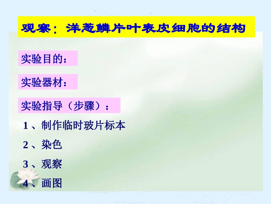 苏教版七上第三章第一节植物细胞的结构和功能（共22张PPT）_第2页