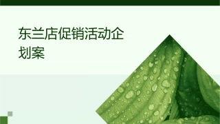 东兰店促销活动企划案课件