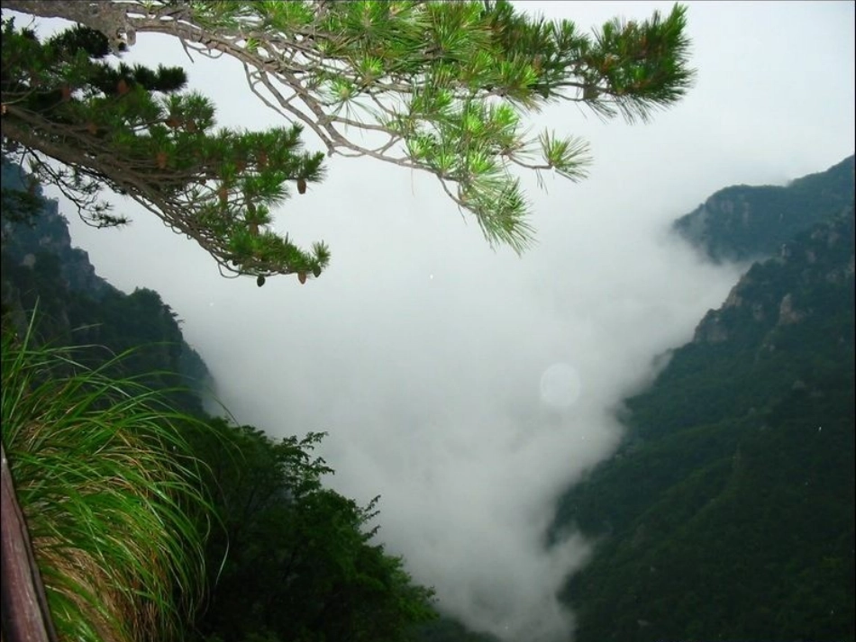 人教版四年级语文上册5古诗二首《题西林壁》_第3页