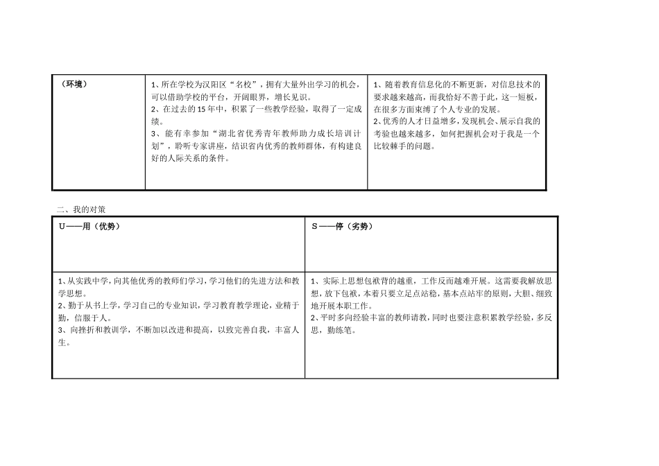 （熊菲）个人SWOT分析表_第2页