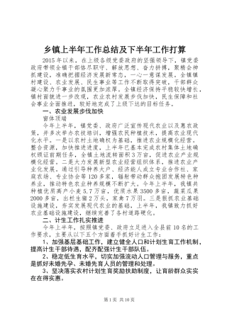 乡镇上半年工作总结及下半年工作打算