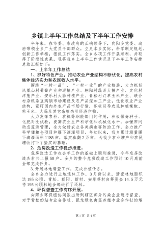 乡镇上半年工作总结及下半年工作安排