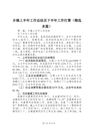 乡镇上半年工作总结及下半年工作打算(精选多篇)