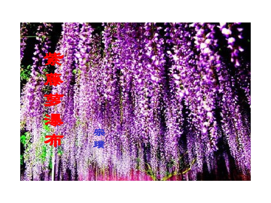 《紫藤萝瀑布》课件_第2页