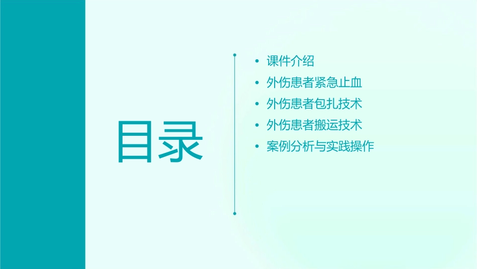 卫生部行业标准外伤患者紧急止血包扎和搬运课件_第2页