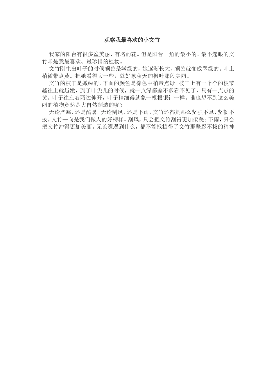 观察我最喜欢的小文竹_第1页