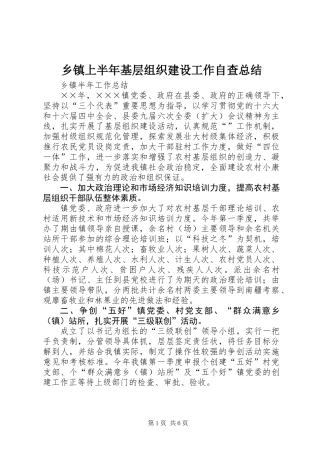 乡镇上半年基层组织建设工作自查总结 (2)