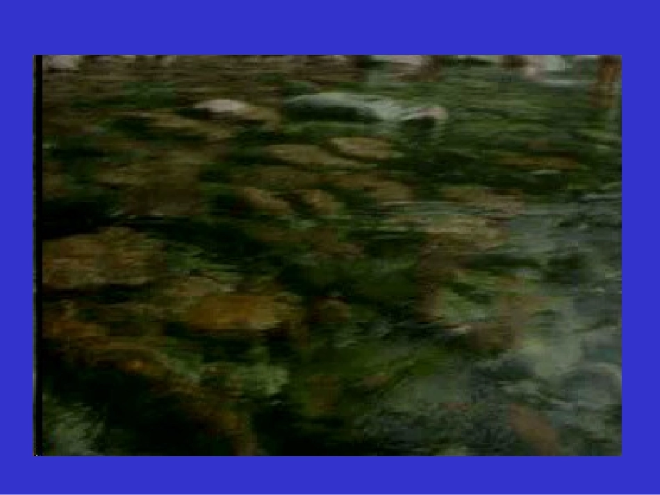 《物种起源》导言_第3页