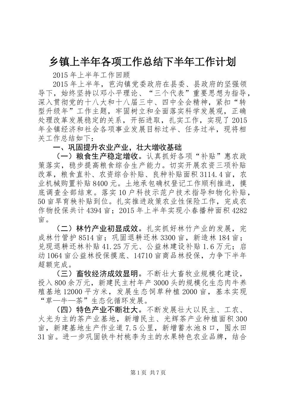 乡镇上半年各项工作总结下半年工作计划_第1页