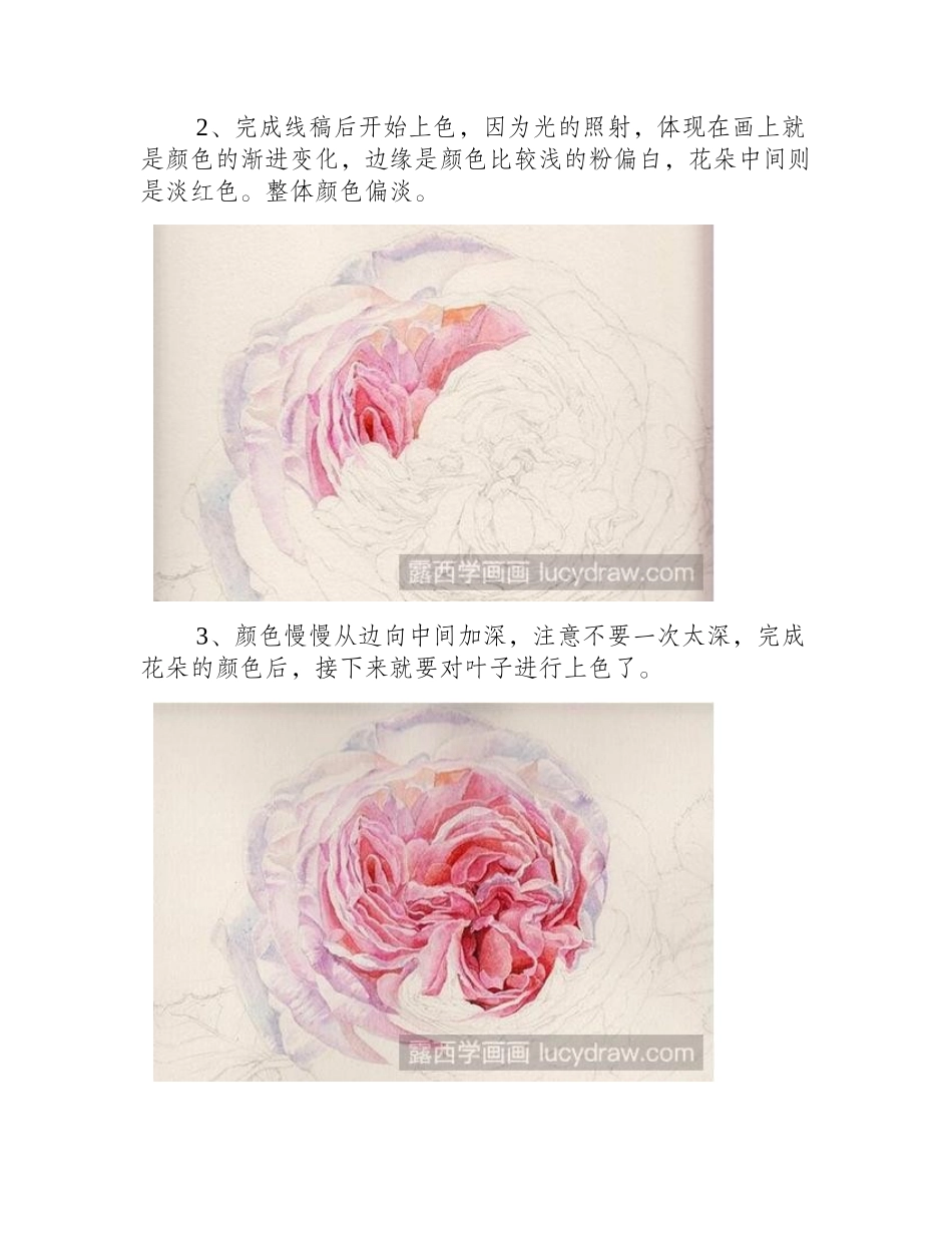 玫瑰花的水彩画法水彩画教程_第2页