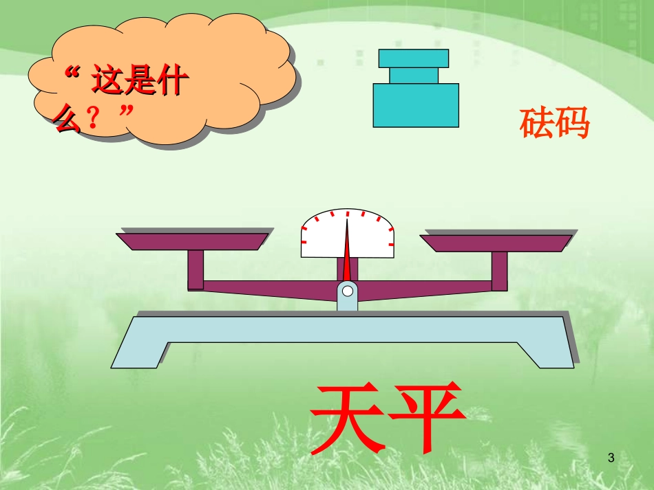 用字母表示数课件3_第3页